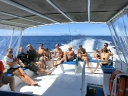 whangarei (78)
